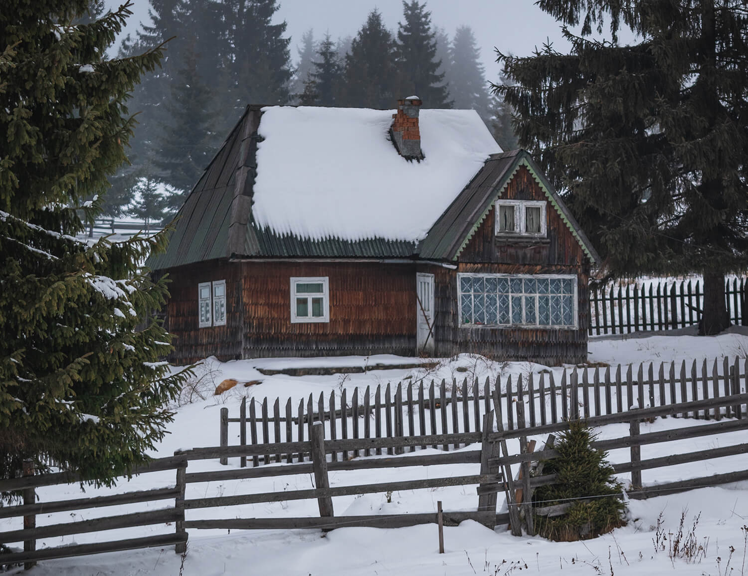 exercising from the comfort of home